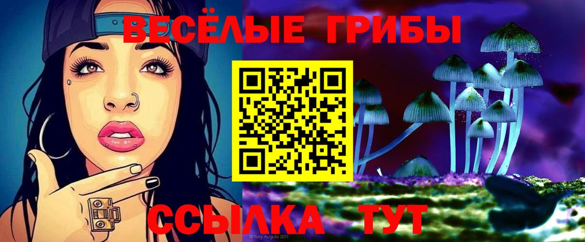 Галлюциногенные грибы MAGIC MUSHROOMS  Галлюциногенные грибы прущие грибы  Ивантеевка  Вход с VPN 